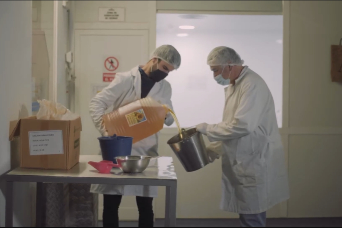 Jabón del Zorro D`Avi